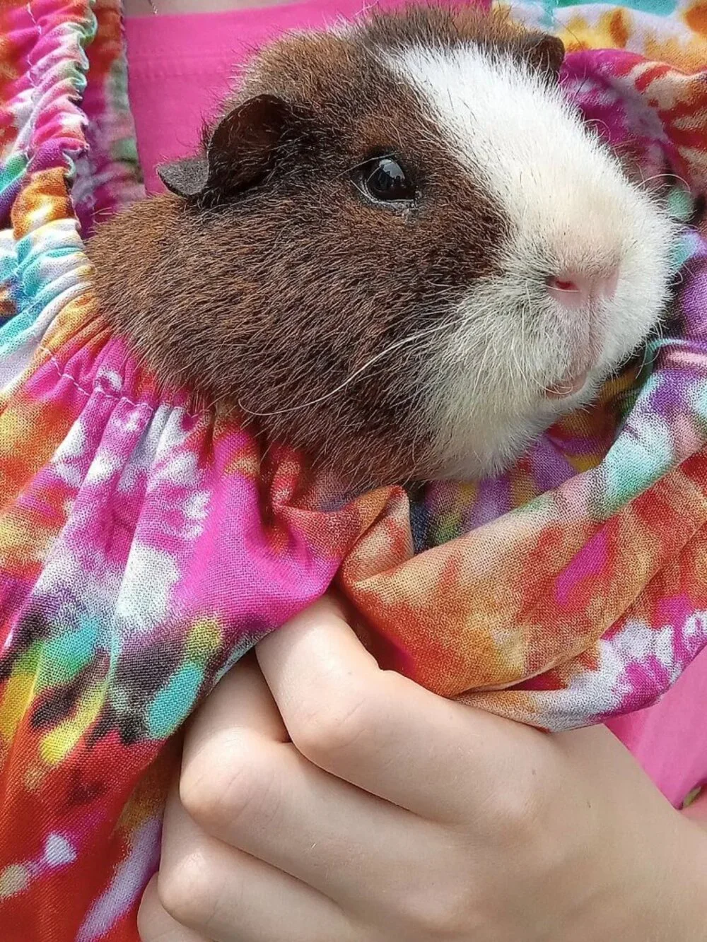 Pet Cuddle Scarf: Hands-Free Bonding Sling for Small Animals